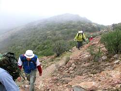 IMG_2882.jpg