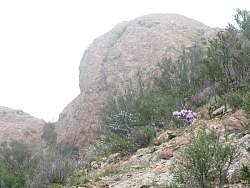 IMG_2883.jpg