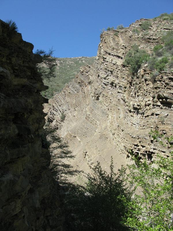IMG_3080.jpg