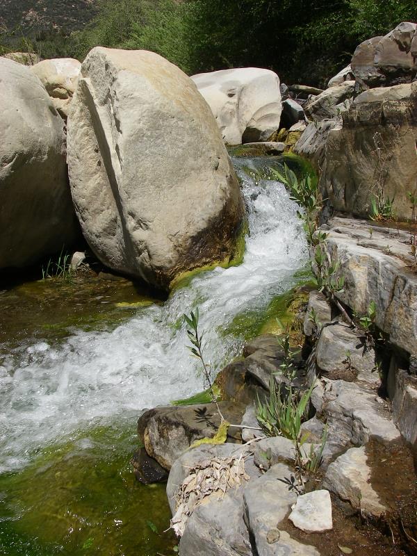 rd_IMGP1109.jpg