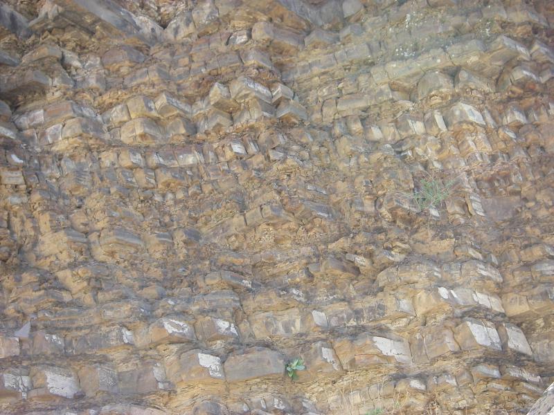 rd_IMGP1124.jpg