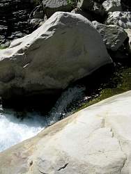 IMG_3038.jpg