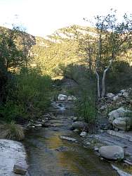 IMG_3166.jpg