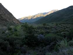 IMG_3168.jpg