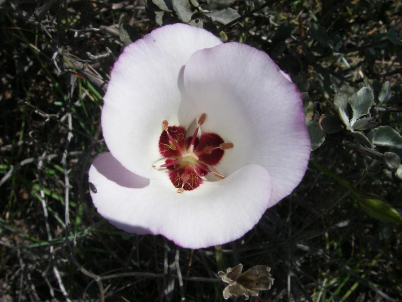 IMGP1239.jpg