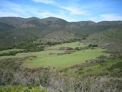 20090412LaJollaGeocaching015.jpg