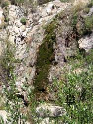 IMG_9925.jpg