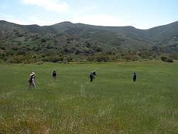 IMG_9944.jpg