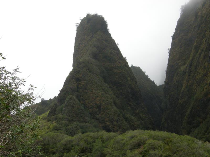 P4220128.jpg