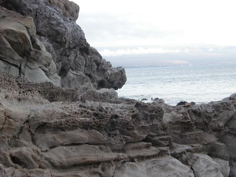 P4240384.jpg