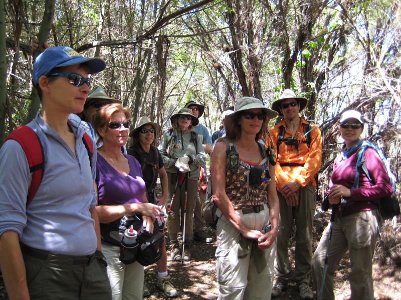 2009-05-03 Topanga Ridge 014.jpg