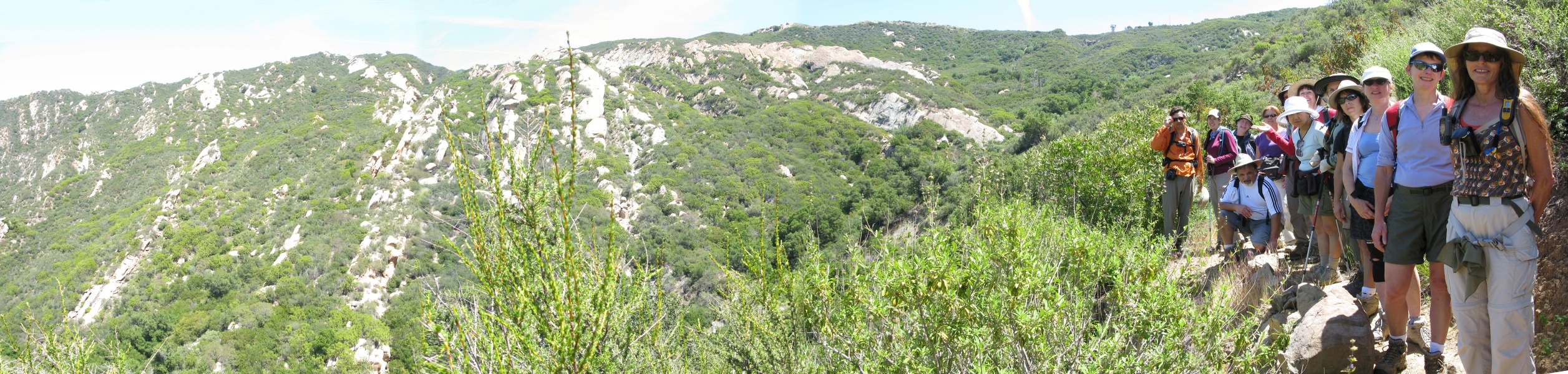 STA_3230pan.jpg