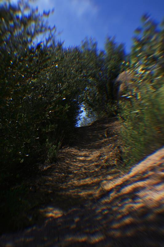 rd_Up through the track.jpg