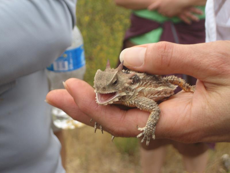 2009-05-30 El Nido Preserve 027.jpg