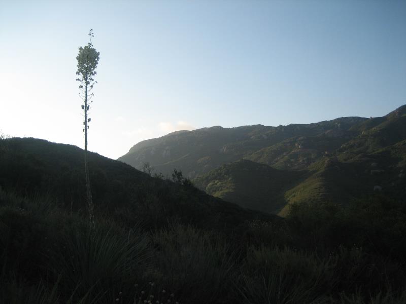 2009-06-07 Conejo Peak 004.jpg