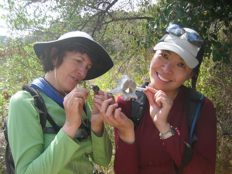 2009-06-14 Boney Wilderness Loop 050.jpg