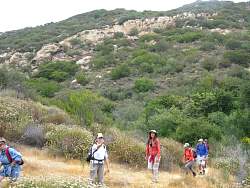 IMG_3748.jpg