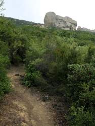 IMG_3778.jpg