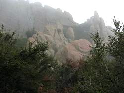 IMG_3781.jpg