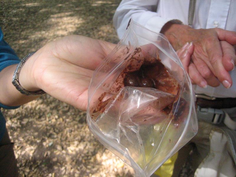 2009-07-18 Tripeaks Caves 001 Melted already at 9AM.jpg