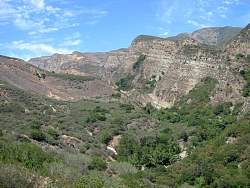IMG_0454.jpg