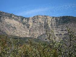 IMG_0457.jpg
