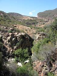 IMG_0476.jpg