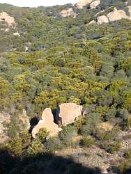 20090802ConejoPeak012.jpg