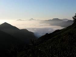 IMG_3828.jpg