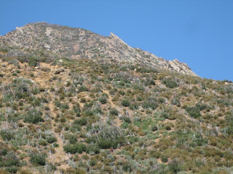 2009-08-22 Topatopa Bluff 046.jpg