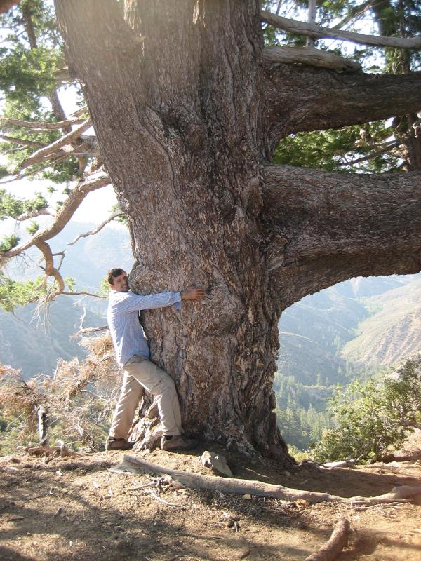 2009-08-22 Topatopa Bluff 084.jpg