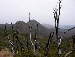 IMGP2951.jpg
