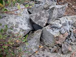 IMGP2958.jpg