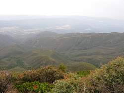 IMG_3872.jpg