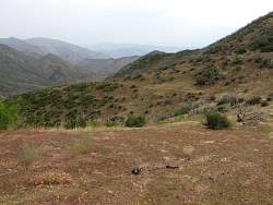 IMG_3877.jpg