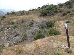 IMG_3878.jpg