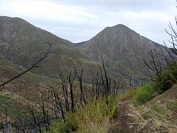 IMG_3879.jpg