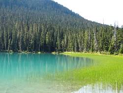 IMG_4134.jpg