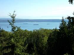P1000007.jpg