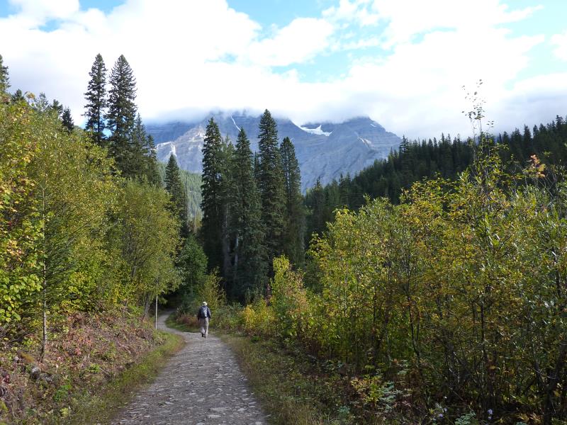 P1000097.jpg