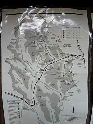 P1000565.jpg