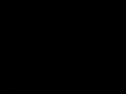 IMGP3547.jpg