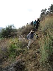IMG_5442.jpg