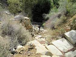 IMG_5456.jpg