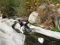 IMG_5499.jpg