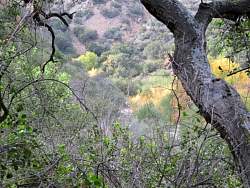 IMG_5515.jpg