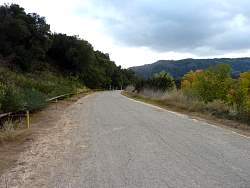 P1010370.jpg