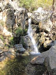 IMG_6364.jpg