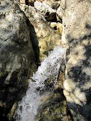 IMG_6381.jpg