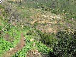 IMG_6387.jpg